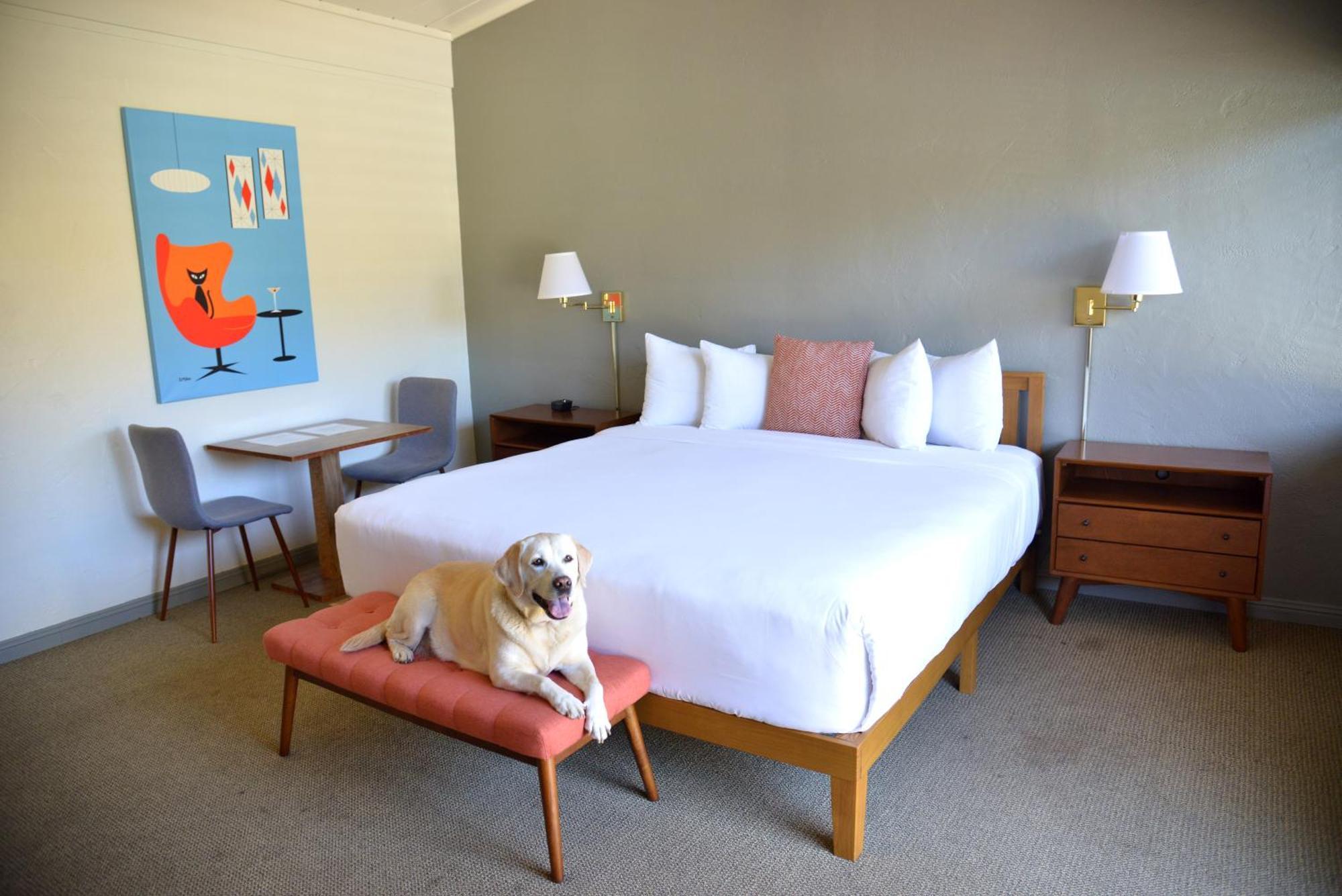 Contenta Inn Carmel Valley Exterior photo
